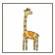 jungle jam - giraffe / 5025